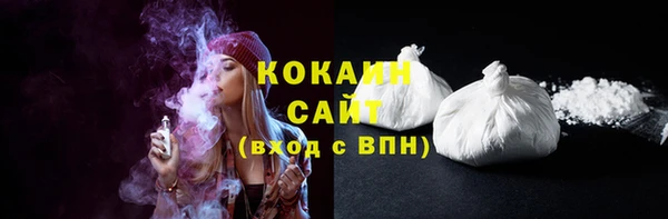 бошки Алексин
